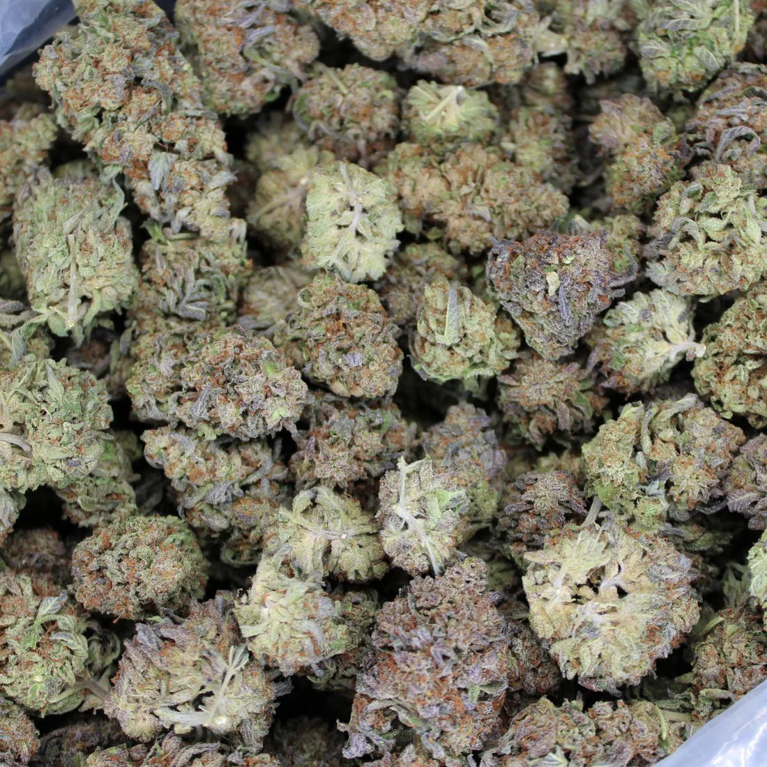 GDP-Grand Daddy Purple THCA