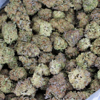 GDP-Grand Daddy Purple THCA